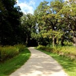 The Fall and Winter Walking Path Ahead…