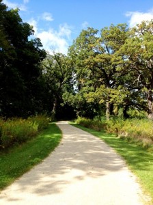 JustLoveWalking-shaded-pathway